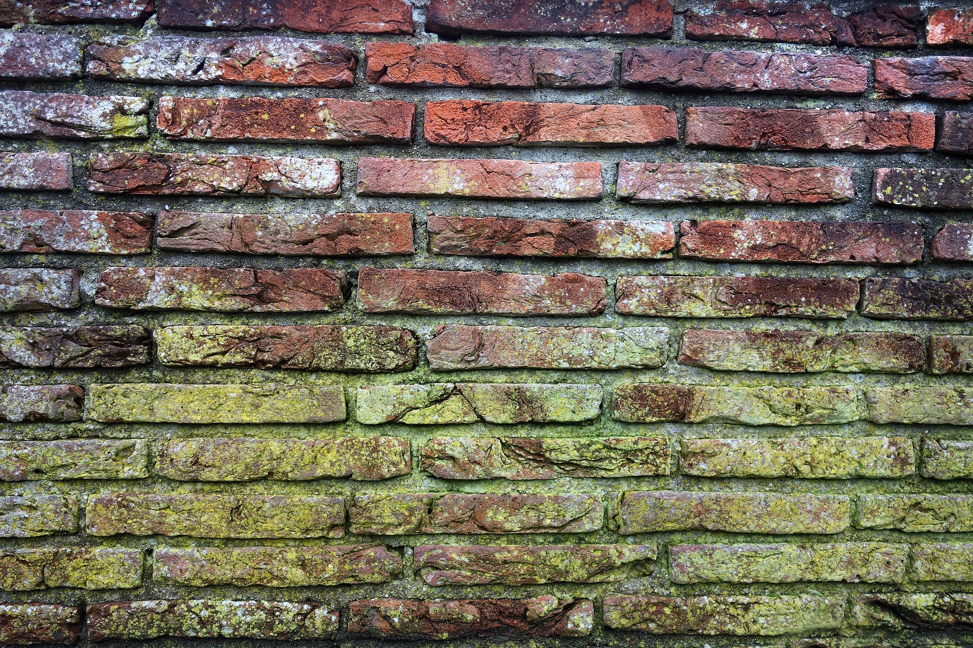 green molded brick wall